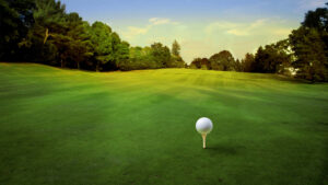 A golf ball on a tee looking over a lush green