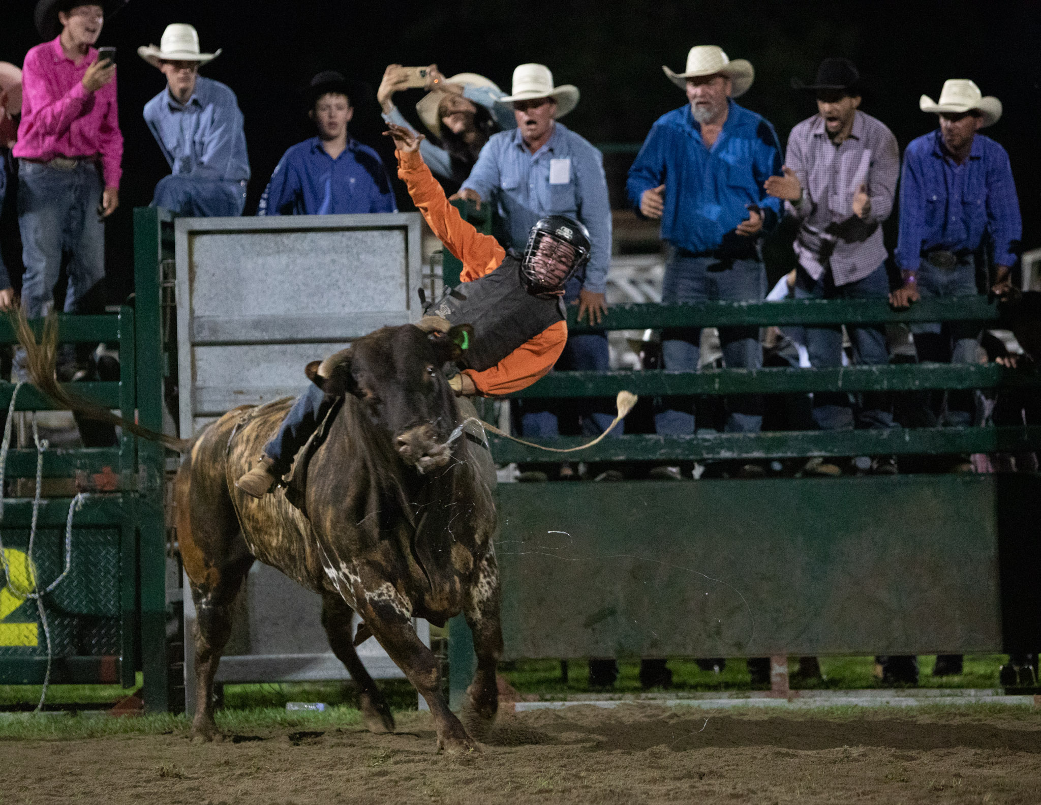 The Best Show Ever! | Kangaroo Valley Voice